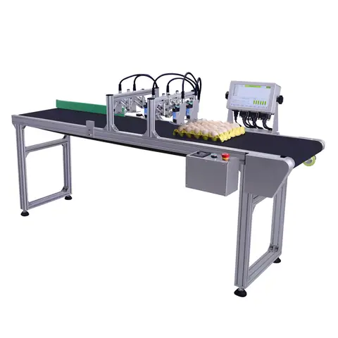 Large Character Printers